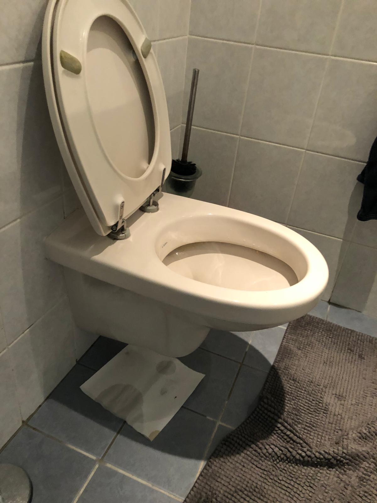 hangtoilet Vorden